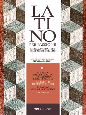 cover image of Il latino preletterario dei carmina e degli elogia. Le parole di tutti i giorni. Il latino nelle professioni. Cicerone
